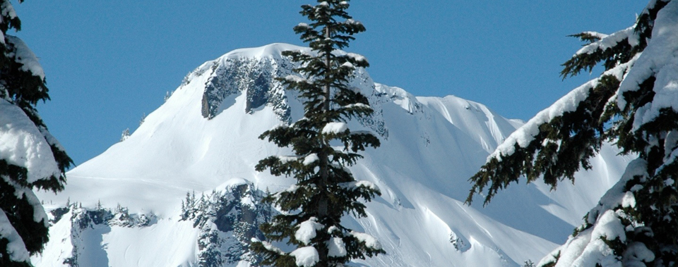Winter is here.  Sign up for our newsletter to get special offers